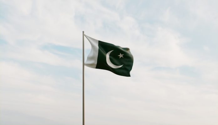 پاکستان-بیرغ